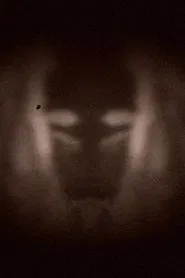 Poster do filme L’effet miroir