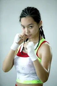 Poster da série Punch