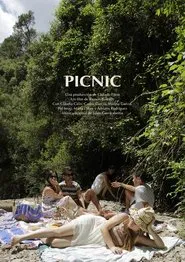 Picnic movie poster