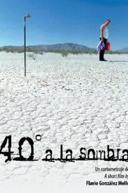 40°C In The Shade movie poster