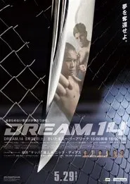 DREAM 14 movie poster