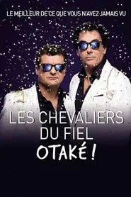 Poster do filme Les chevaliers du Fiel : Otaké !