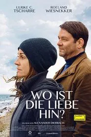 Wo ist die Liebe hin? movie poster