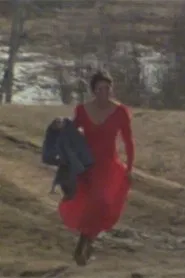 The Red Dress movie poster