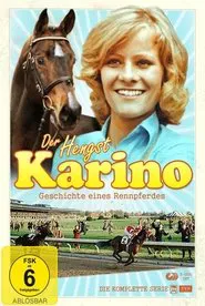 Poster do filme Karino