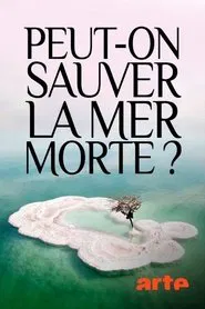 Peut-on sauver la mer Morte ? movie poster