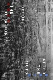 After the Riots, Before the Liberation movie poster
