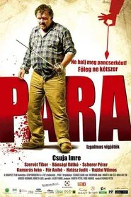 Poster do filme Para