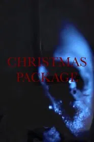 Christmas Package movie poster