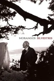 Poster do filme Morangos Silvestres