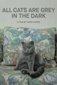Poster do filme All Cats Are Grey in the Dark
