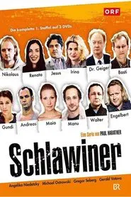 Schlawiner tv show poster