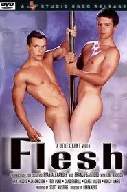 Poster do filme Flesh