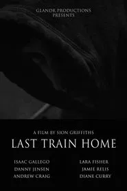 Last Train Home movie poster