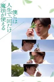 僕らは人生で一回だけ魔法が使える movie poster
