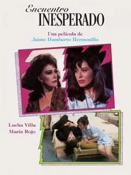 Encuentro Inesperado movie poster