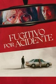 Poster do filme Fugitivo por Acidente