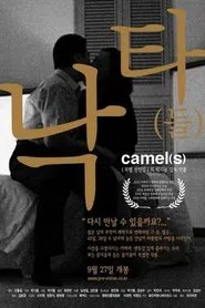 Camel(s) movie poster