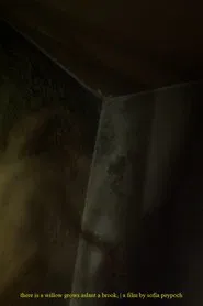 Poster do filme there is a willow grows aslant a brook,