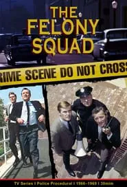 The Felony Squad tv show poster