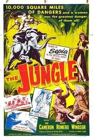 Poster do filme The Jungle