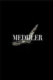 Meddler movie poster