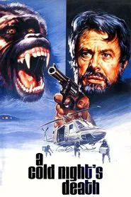Poster do filme A Cold Night's Death