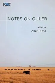 Poster do filme Notes on Guler
