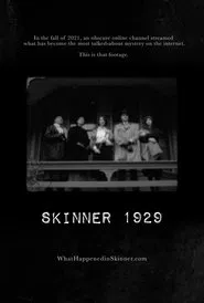Skinner 1929 movie poster