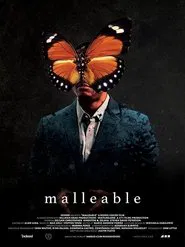 Poster do filme Malleable