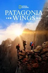 Poster do filme Patagonia Wings