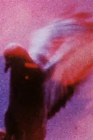 Long Eyes of Earth movie poster