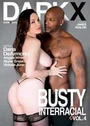 Poster do filme Busty Interracial 4
