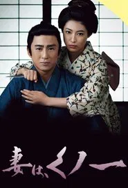 My Wife is Ninja tv show poster