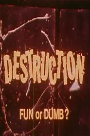 Destruction: Fun or Dumb? movie poster