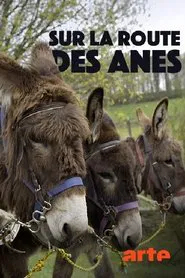Sur la route des ânes movie poster