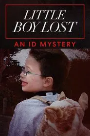 Little Boy Lost: An ID Mystery movie poster