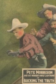 Bucking the Truth movie poster