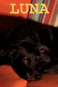 Poster do filme Luna