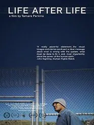 Life After Life movie poster