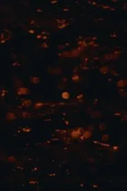 Moonglade movie poster