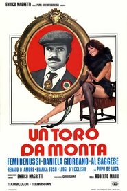 A Bull for Mounts movie poster