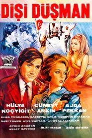 Dişi Düşman movie poster