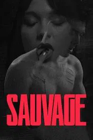 Poster do filme Sauvage