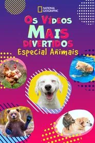 Poster da série Os Vídeos Mais Divertidos: Especial Animais