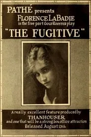 Poster do filme The Fugitive