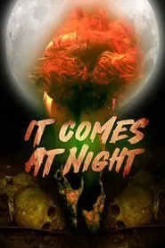 In the Light of the Night movie poster