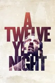 Poster do filme Uma Noite de 12 Anos