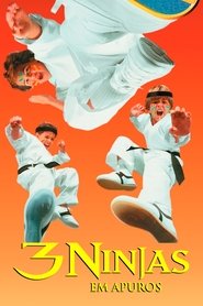 Poster do filme 3 Ninjas em Apuros