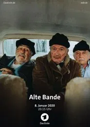 Poster do filme Alte Bande